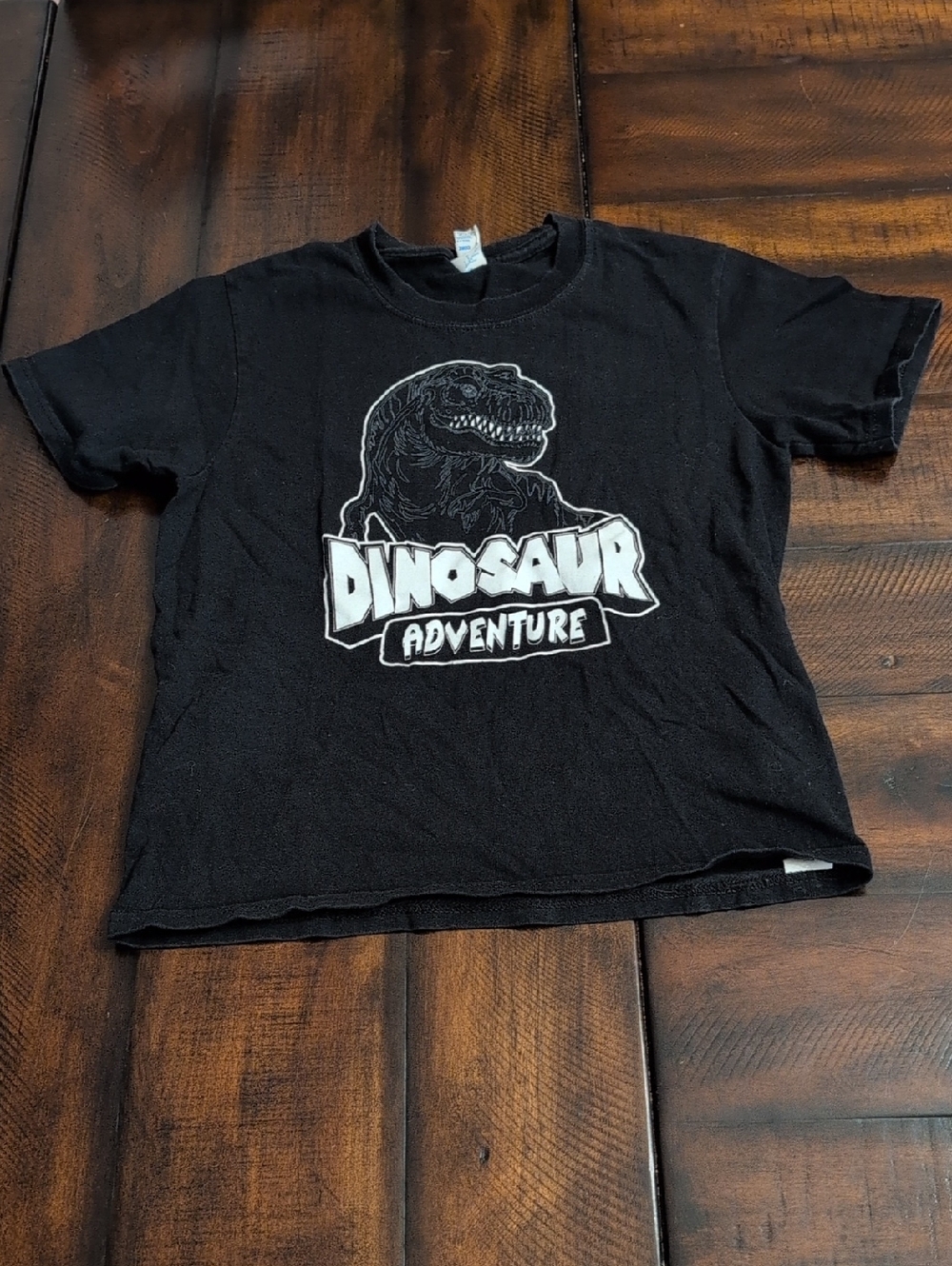 Kids Black "Dinosaur Adventure" Graphic Tee Size Small